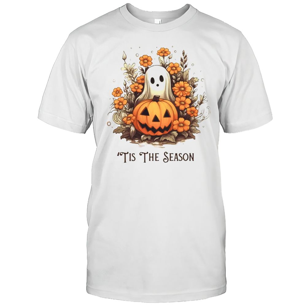 Tis The Pumpkin And Ghost Vides Teacher T-Shirt